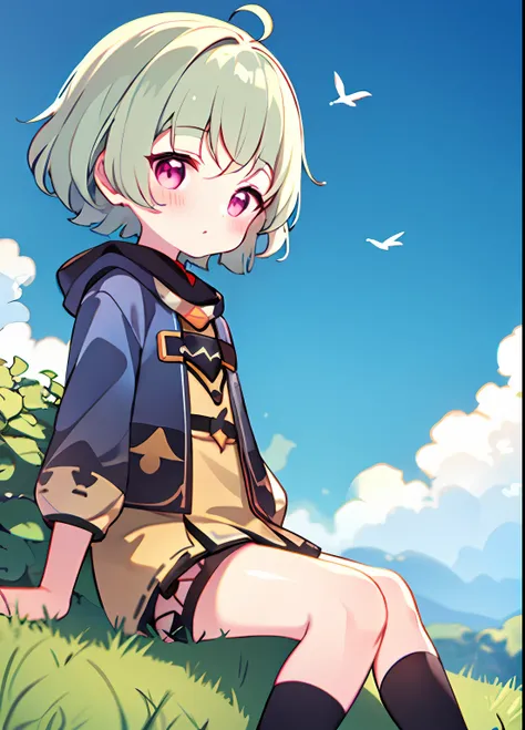 FULL BODY, blushed, out door, During the Day, simple Backgrounds, a blue sky, bobed hair, SKY, looking at the viewers, sitting on grass,loli,The expression is cute,duck sitting,Small short legs,