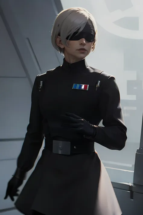 n_2b
blindfold, black blindfold, white imperialofficer uniform