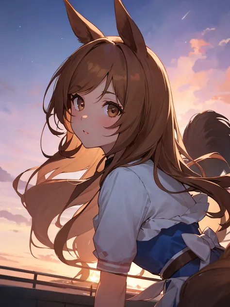 1girle, sunset, star sky,brown eye,1girle,long brown hair, brown eyes, master masterpiece, best-quality, uma musume(admire vega)...