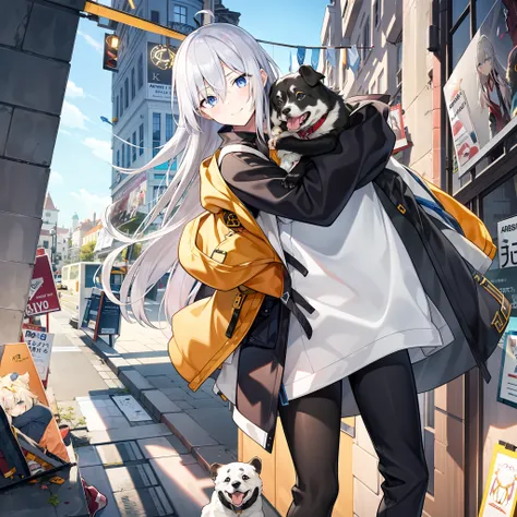 anime girl with gray hair hugging a dog on city street, style of anime4 k, best anime 4k konachan wallpaper, girls frontline sty...