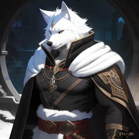 blaidd,blaidd cloak,ruan jia,pino daeni,darkgem,dimwitdog,muscular male wolf anthro, (detailed face), (detailed fluffy fur)