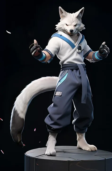 best quality at best，
coda， 独奏， wolf ears， greyt hair， wolf tail， 1boy， mitts， animal ear villi， standing on your feet， full bod...