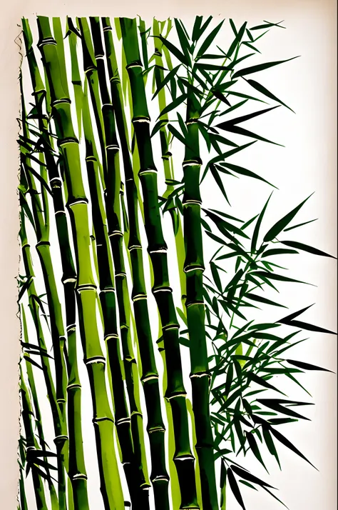 Ink painting bamboo national style