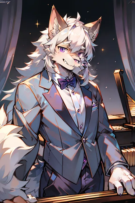 solo person，shaggy male，hairy bodies，shoun，coyote，canid，Gray fur，long  white hair，The ends of the hair are purple，Purple eye，Bullied，adolable，Handsome，large tail，full bodyesbian，Play the piano，Tuxedo suit，ellegance