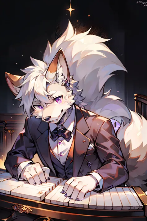 solo person，shaggy male，hairy bodies，shoun，coyote，canid，Gray fur，long  white hair，The ends of the hair are purple，Purple eye，Bullied，adolable，Handsome，large tail，full bodyesbian，Play the piano，Tuxedo suit，ellegance