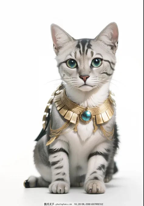 Cleopatras costume。