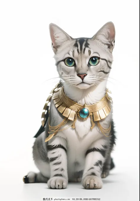 Cleopatras costume。