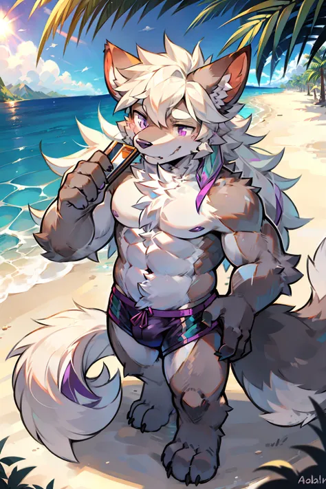 solo person，shaggy male，hairy bodies，shoun，coyote，canid，Gray fur，long  white hair，The ends of the hair are purple，Purple eye，Bullied，adolable，Handsome，large tail，full bodyesbian，sea beach，summer day，rays of sunshine，swim wears