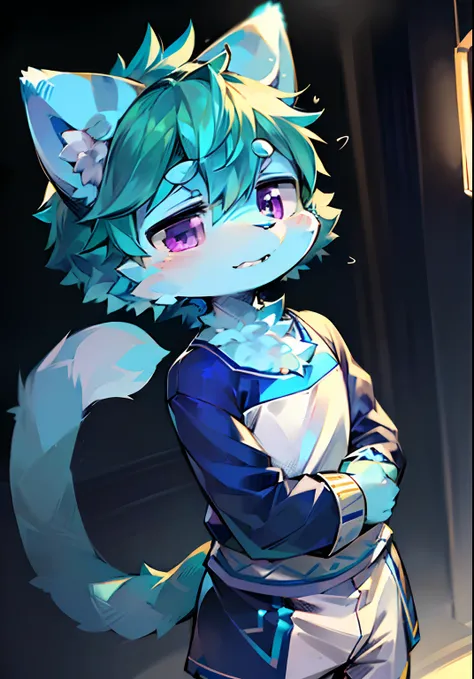 eyes with brightness, in a panoramic view, Q version，Character focus.独奏, shaggy, shaggy male, malefocus, (Full Body Furry, Has a blue tail, It has blue and white fur all over its body, Purple eye, Green hair，Blue cat ears）(Blue-white cat、wearing an outfit）...