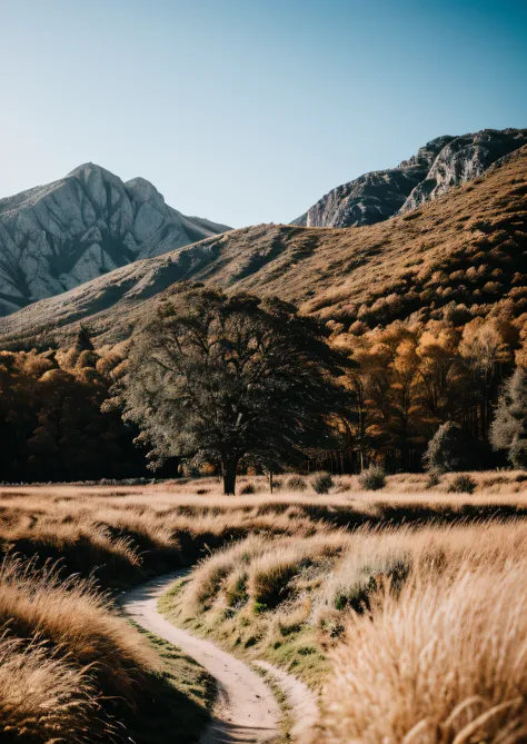 RAW photo of a landscape, small details, photorealistic, ultra-realistic photo, 8k uhd, dslr, soft lighting, high quality, film grain, Fujifilm XT3, (masterpiece)