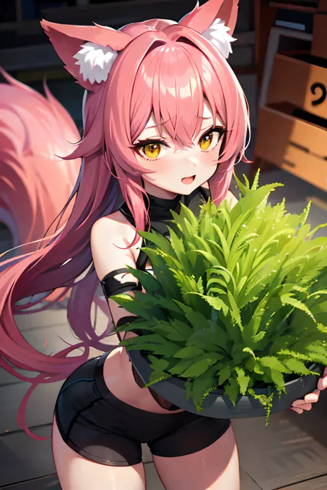 Fox Demon Jade Algae Frontline，Pink hair，gym storeroom，1girll，tmasterpiece，The best quality，The is very detailed