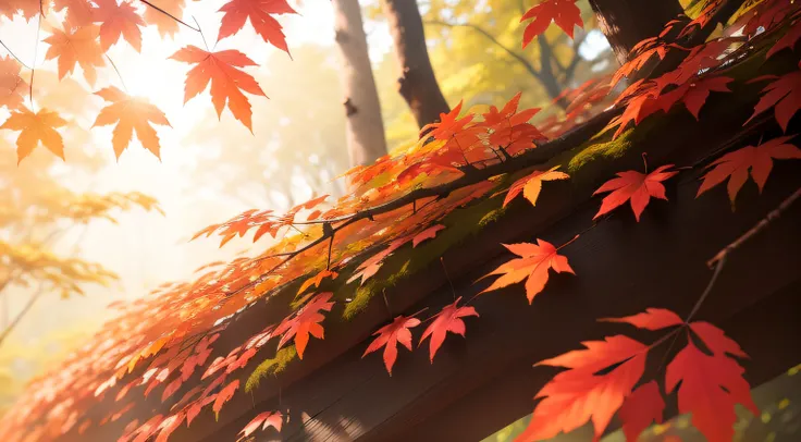 Colored leaves、up、８K、top-quality、delicate leaves、Branches in the sun、Hang sunlight on the leaves、Photorealsitic、natural soft light、Hyper-detailing、Background blur、