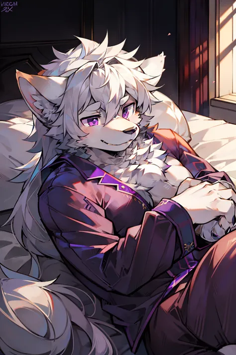 solo person，shaggy male，shoun，coyote，canid，Gray fur，long  white hair，The ends of the hair are purple，Purple eye，Handsome，large tail，full bodyesbian，Bedrooms，on top of the bed，Lie down in bed，stretched action，Wear cute pajamas