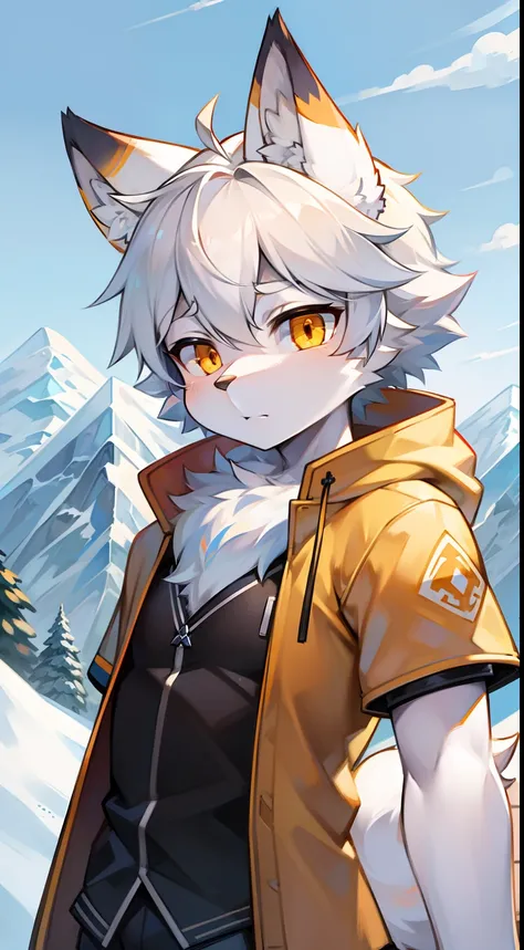 snow mountains，snowflower，full bodyesbian, Young Wolf, 人物, tmasterpiece，Orange-yellow down jacket, Furry tail, Highest image quality, 8K, Full HD background，Cartoony，adolable，male people，a plush，Furry，White fur，White body，blue ear，Orange-yellow eyes，solo p...