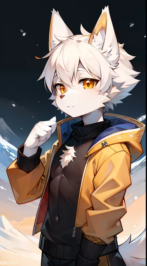 snow mountains，snowflower，full bodyesbian, Young Wolf, 人物, tmasterpiece，Orange-yellow down jacket, Furry tail, Highest image quality, 8K, Full HD background，Cartoony，adolable，male people，a plush，Furry，White fur，White body，blue ear，Orange-yellow eyes，solo p...