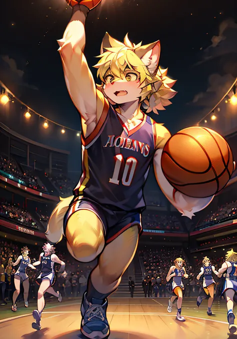 high qulity，4K，in a panoramic view，basketball playground，Male cat，Fluffy hair，Blonde hair，Player athletics，Multiple people running，The lights are bright