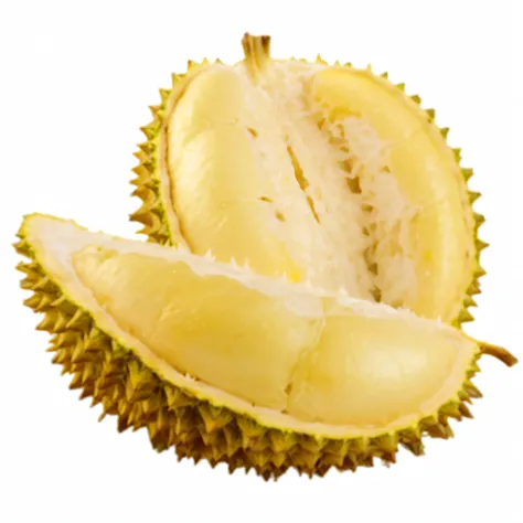 Close-up of durian fruit cut in half, malaysian, an alien fruit, tropical fruit, it has lemon skin texture, 🐿🍸🍋, super sayan, yellowed, Fruit, spiky, lucky, 240p, singapore, lara croft eating durian, Bananas, mega, Huge thorns