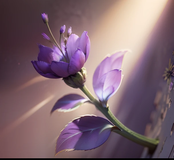 Purple flowers with natural light,Naturally realistic textures on blur and natural background,Depth and shadows,Glow and illuminate,istock