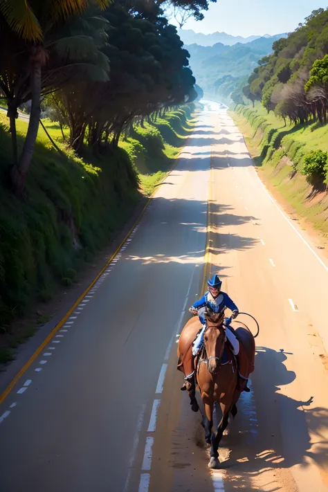 Estrada com curvas cerca cavalos morro sol  rio