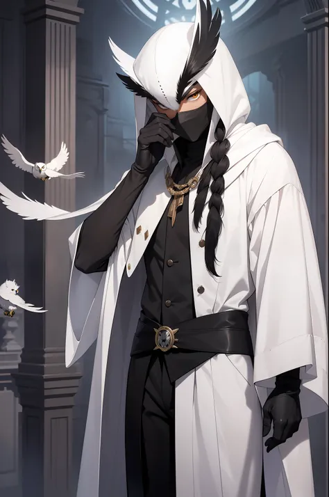 solo male, white robes, black pants, black gloves, owl feathers, owl mask, white hair, covered face, fantasy