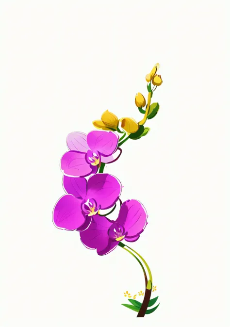 A drawing of a flower，Purple flowers on white background, Orchid stem, orchid, an orchid flower, an orchid flower, penned with thin colors on white, outline art, no shade, Outline sketch, stylized linework, contour drawing, accurately drawn details, floral...