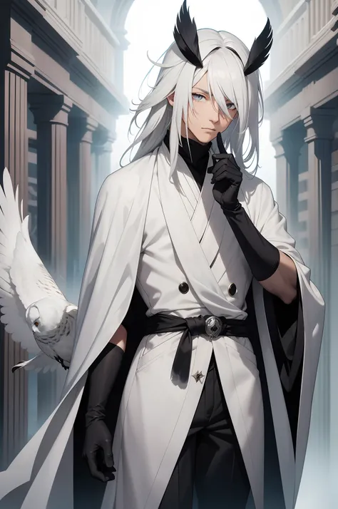 solo male, white robes, grey eyes, black pants, black gloves, owl feathers, owl mask, white hair, covered face, fantasy