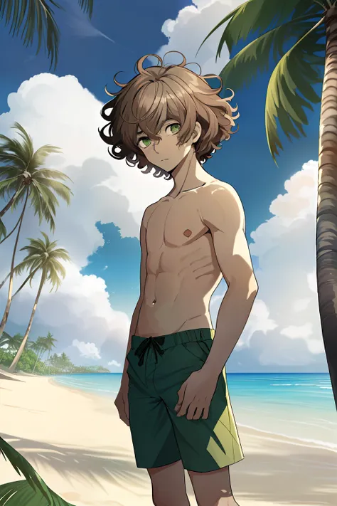 young boy, 17 years old, brown hair, curly hair, akechi hair, green eyes, blue swin shorts, shirtless, no shirt, timid face, standing, on a beach, coconut trees behind, cloud in the sky, 4k, good ambience