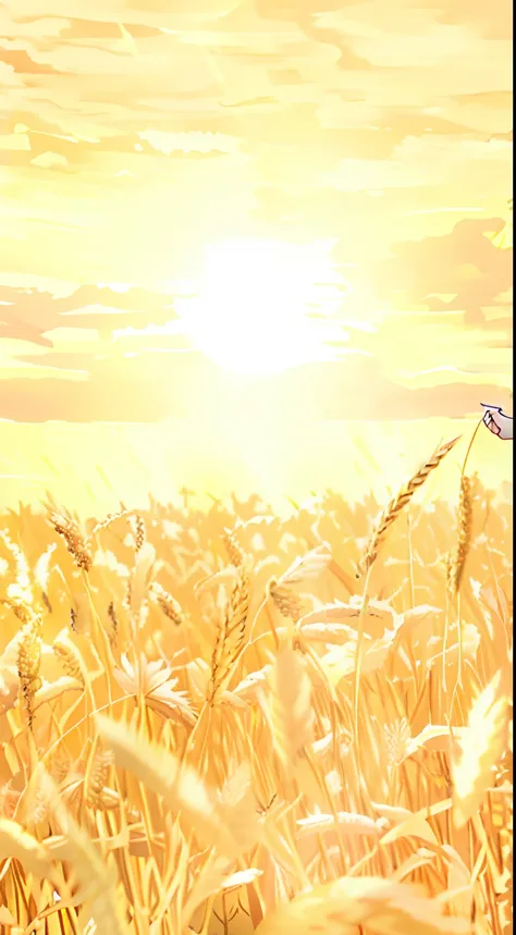 Araffid wheat field with sunlight in background, wheat field, beautiful fine sky, golden rays of sunlight, bathed in a golden glow, wheat field, Harvest, soft golden light, Sunny atmosphere, immense wheat fields, golden morning light, golden hour sunlight,...