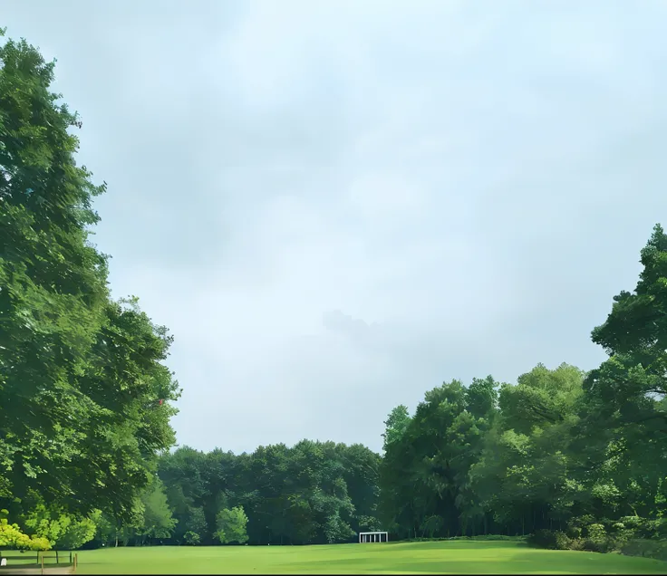 park in background, park landscape, Trees in the background, with a park in the background, forest clearing landscape, trees in background, overcast day, meadow in the background, at the park on a beautiful day, nature and clouds in background, wide long v...