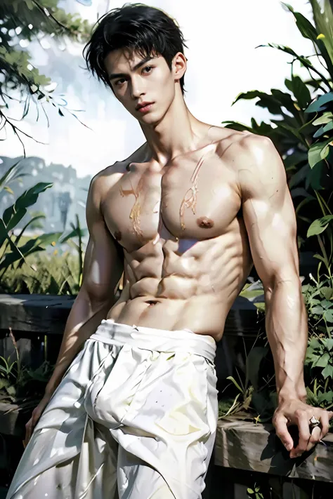 (absurderes, A high resolution, Ultra detailed, hdr), Masterpiece, Best quality, Handsome boy, Detailed face, nakeness，Abs，Professional photo, The Arafed man went into battle shirtless, Stand comfortably，standing on your feet，whole body picture，Long legs w...