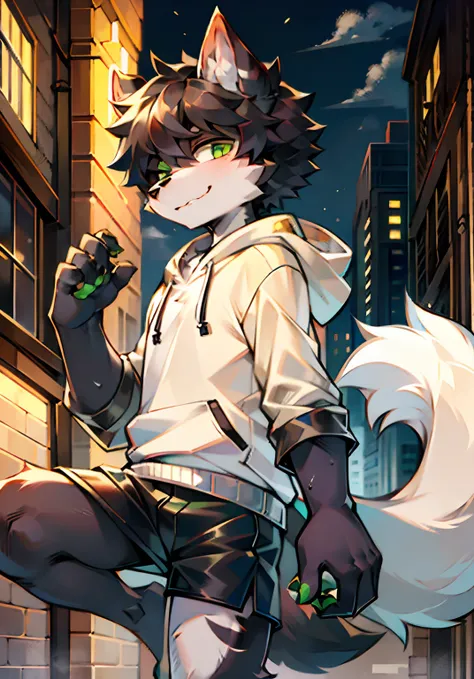 Teenage uncensored， Short gray hair， hor ears， lowerbody， downtown area， hairy pubic， coyote， Big fluffy tail， tmasterpiece， High-quality portraits， human - shaped， Lonely youth style， lewd poses， full-shot， Wolf type， White hoodies， Black  shorts， Super h...