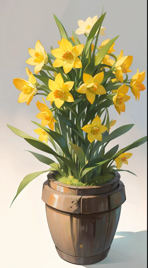 A pot of blooming daffodils，There are branches，There are no less than five flowers