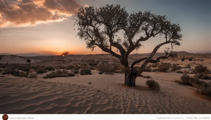 cinematic images，Revestimento espesso，Ultra-wide viewing angle，Entardecer，the setting sun，vasto deserto，camelstoe，oasis，Ruin，The lines are smooth and precise，Obras de mestres，super-fino，16k resolution，alta qulidade，cinemac lighting，alto detalhe da imagem，d...