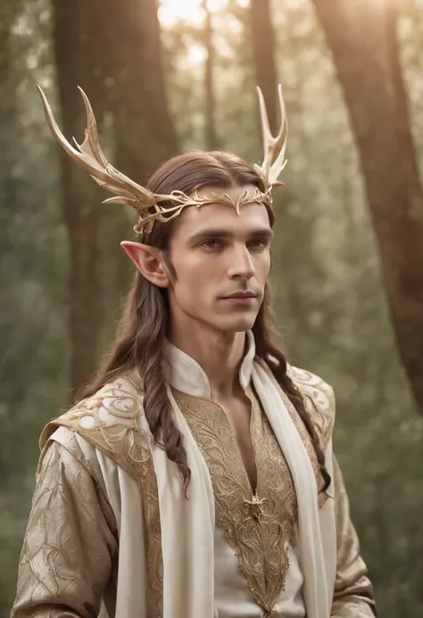 Male Elven Prince，handsome and attractive，Long ears，A noble atmosphere，Shine brightly，As graceful as a swan，Charming eyes，Flowing hair，adorned in majestic attire，graceful stance，Natural background，mystical forest，A romantic scene embellished with stars