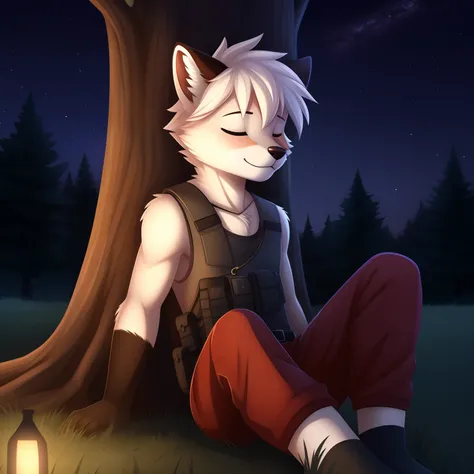 red fox，The male，One guy，Light red fur，Furry Fur， Cute little animals fluffy，White hair，Sitting alone under a tree，leaning against the tree trunk，On the lawn of the park，Cubs，sin pantalon，Naked, Wear a plain white loose vest，Gray tactical belt，is in night，...