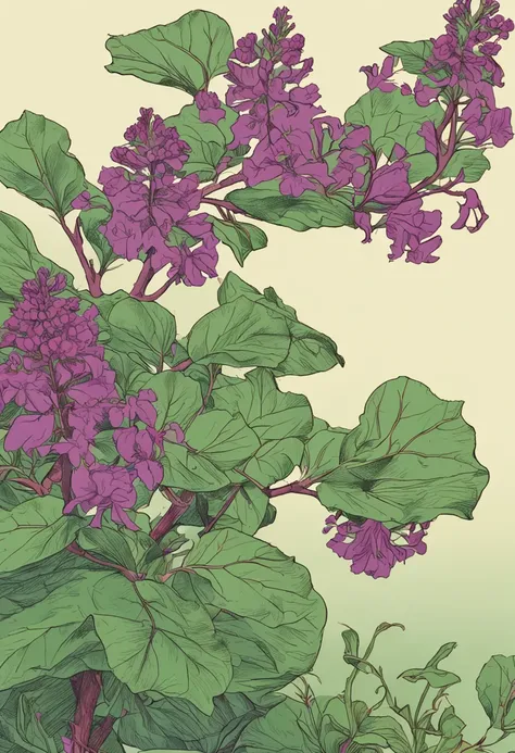 Patchouli plant， Chiaroscuro, projected inset, Ni Chuanjing illustration style