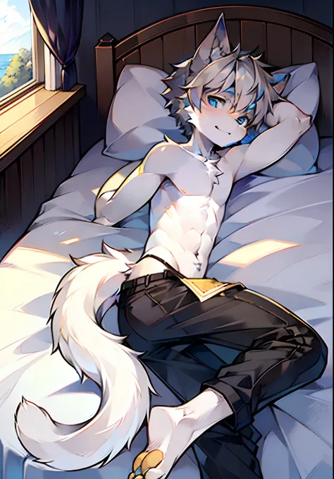 Bright eyes, panorama, character focus ,solo, furry, furry male cat, male yellow-white fur, blue eyes, gray hair (long), bare body, lying on bed without pants, young style, height one meter seven, handsome, has a tail,