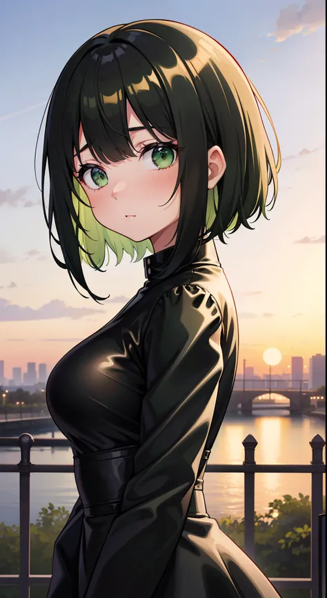 1 girl, outdoors,((split-color hair, black hair, green hair,)) green eyes, black dress, latex, surprised ,high quality, masterpiece, high res,short hair, orange sky, dusk, dawn, bangs over one eye,(black hair), embarrassed, facing viewer