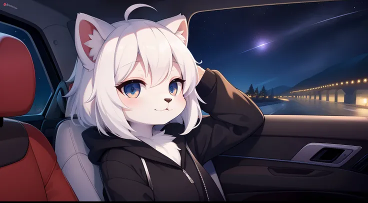 Furry mascot，Lovely image，A black cat， Cute little animals fluffy，Furry Fur，Cute little animals，Fluffy tail，White hair，In the back seat，Sitting alone in the car，Reclining in a chair，View from the car window，High speed on，full of lights，Cubs，is in night，nig...