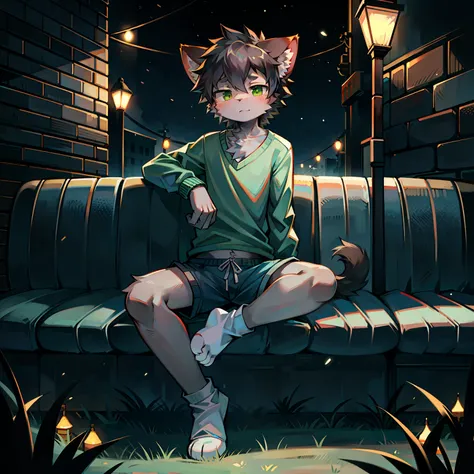 Furry，Furry cat boy，（Dark gray hair），（dark grey skin），Green eyes，Sit cross-legged on the grass，（Wear short white socks），Light blue pajamas and shorts，the night，the street lights，solo person，high high quality