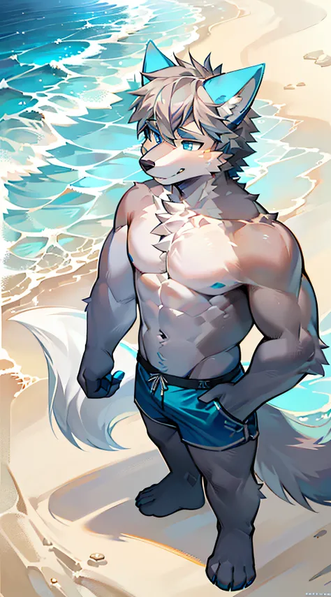 Single, Muscular, grey body, White belly, Wolf on the beach, Wolf on the beach,Wolf ears, Wolf tail, frontage,Short hair,Sunshine,Blue pattern swim trunks,beach,Ocean,high qulity,blue color eyes,Gray hair，Blue ears