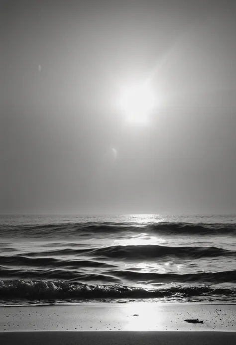 Black and white photograph, solitary beach, Close-up with herbs bathed in sunset light. background of a calm sea, horizon with the sun falling on the right side of the image, 35 mm lens, high contrast