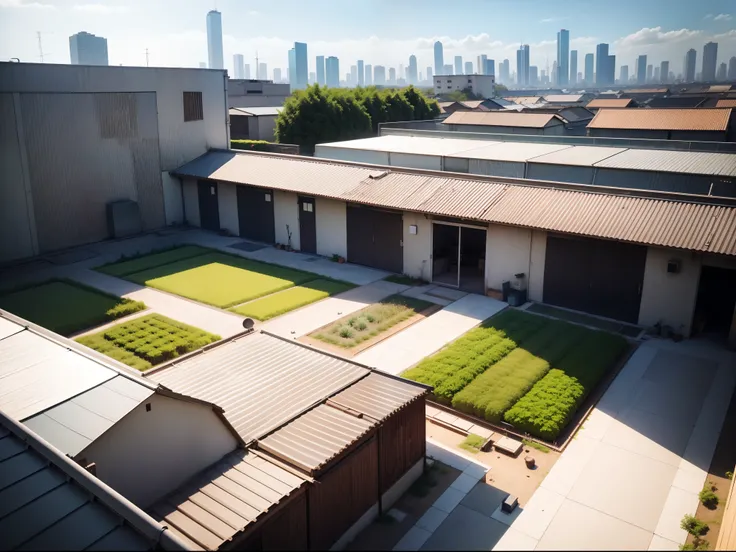 城市, On the rooftop, Urban farm, Urban living, Sustainability, tie