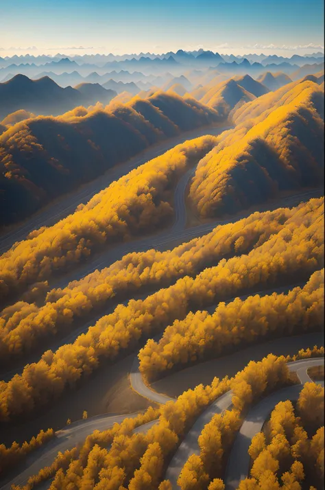 late autumn，large corn fields，yellow corn，deep blue space，bleak wind，not too high mountain view in the distance，there is a road ...