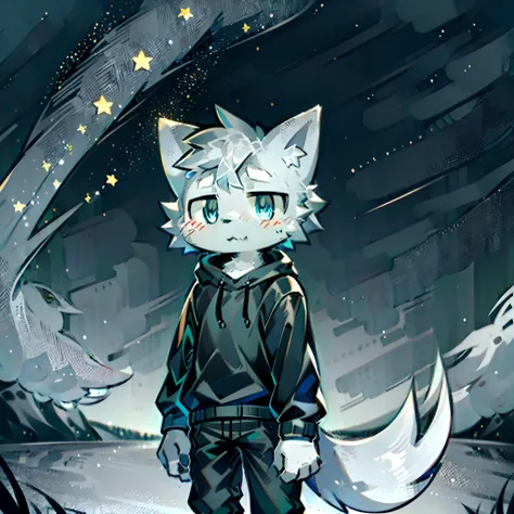 Gray cat little boy，There is a big furry tail behind him，Outdoors at night，looking at the stars，Black sweatshirt，blue colored eyes，Gray-black pants，Snowy plains，A serious look，Be red in the face