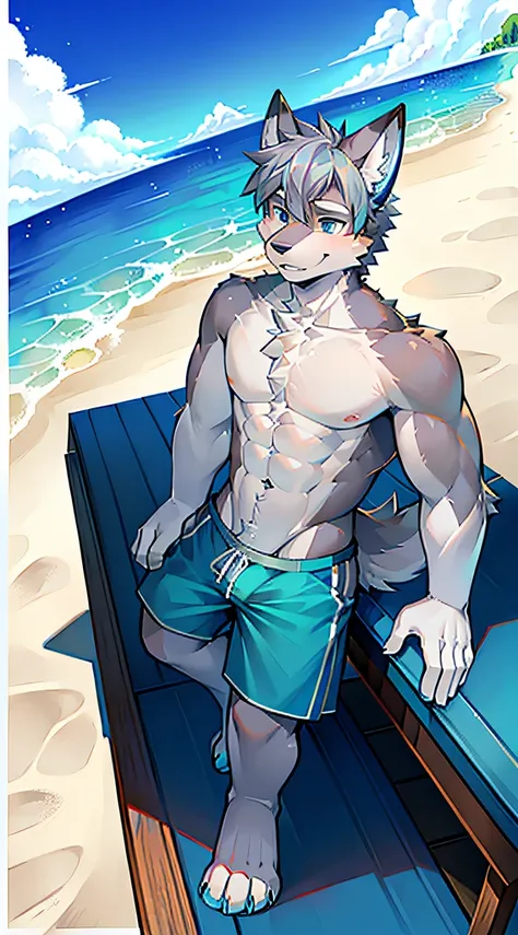 Single, Muscular, grey body, White belly, On the sandy beach,Wolf ears, Wolf tail, frontage,Short hair,Sunshine,Blue pattern swim trunks,beach,Ocean,high qulity,blue color eyes,Gray hair,high qulity