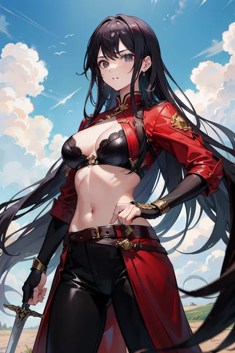 8K分辨率、((top-quality))、((tmasterpiece))、((ultra - detailed))、1 woman、独奏、Holding a sword in his hand，self-assured，haughty，standing on your feet，Point your sword forward，The red coat floated behind him，Black bra，huge tit，Black leather pants，large grassland，（T...