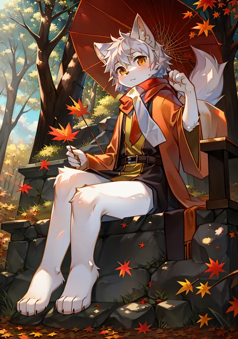 A white wolf，Orange robe，orange scarf，Maple Grove，Maple leaves，Maple leaves are all over the ground，clear blue skies，Shota，adolable，suns，solo person，Look into the distance，Holding an orange umbrella，In the woods，maple trees，flowing robe，Flowing scarf，Beaut...