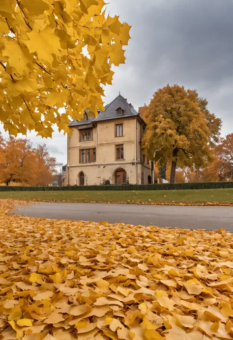 Official aesthetics，art of photography，An autumn scene，The picture should have the sky and the lawn，There are falling ginkgo leaves in the sky，Golden ginkgo biloba，falling leaf，There is a wooden coffee table in the center，Canon 5D，f2.8,70mm