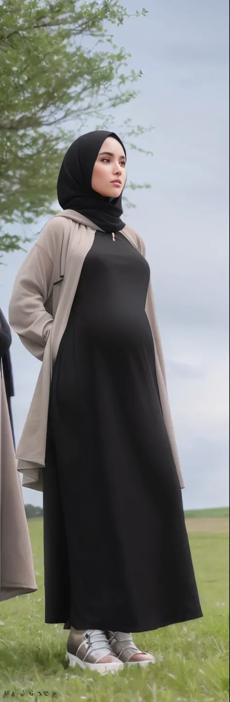 pregnant women standing in a field, she is wearing a black dress, close up half body shot, up close picture, ominous figure in the background, wearing black robe, wearing a black dress, full body shot close up, full body close-up shot, middle close up shot...